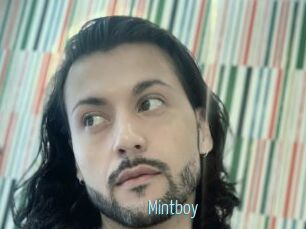 Mintboy