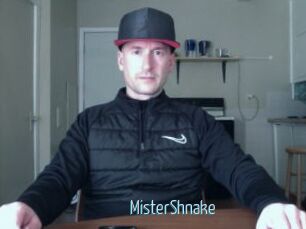 MisterShnake