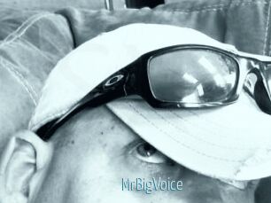 MrBigVoice