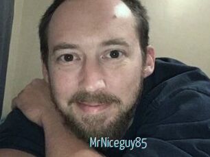 MrNiceguy85