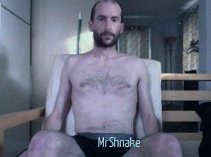 MrShnake