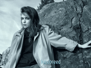 Maebreed