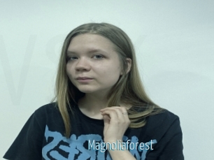 Magnoliaforest
