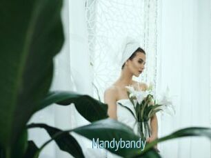 Mandybandy