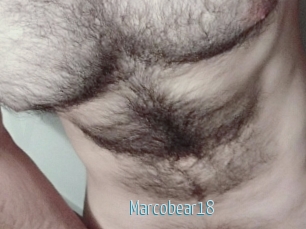 Marcobear18