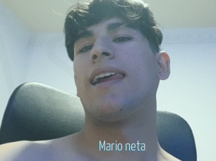 Mario_neta