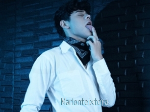 Marlonteixtera