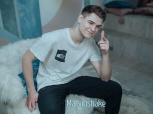 Marvinshake