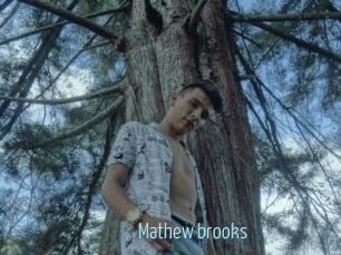 Mathew_brooks
