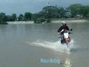 Maurillobig
