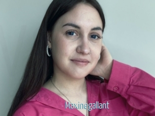Maxinegallant