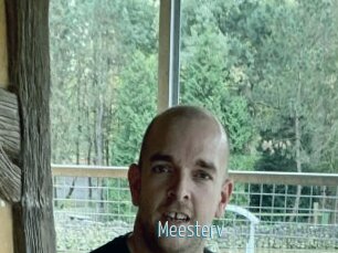Meesterv