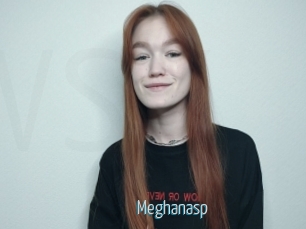 Meghanasp