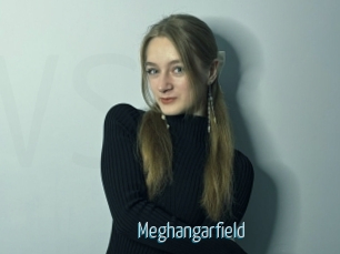 Meghangarfield