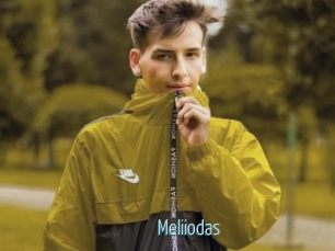 Meliiodas