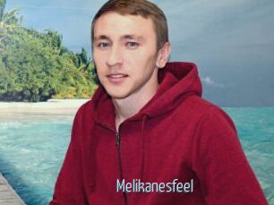 Melikanesfeel
