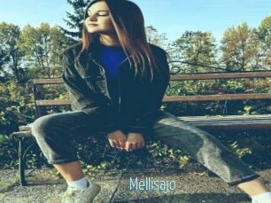 Mellisajo