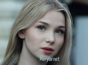 Merylarnet