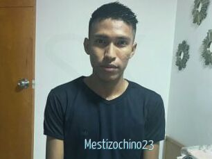 Mestizochino23