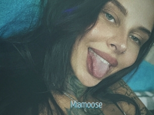 Miamoose