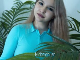 Michelebush