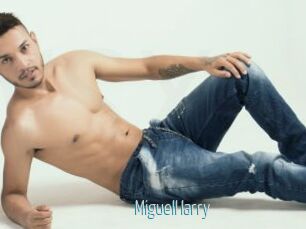 Miguell_larry