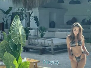 Mileyrey