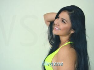 Mileyrosse