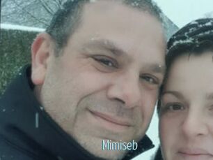 Mimiseb