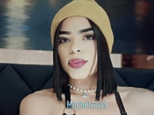 Mitchelvasini