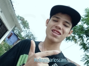 Molinascarloscam
