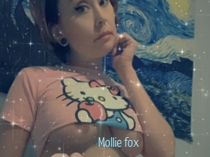 Mollie_fox
