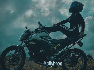 Mollybron