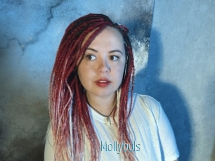 Mollybuls