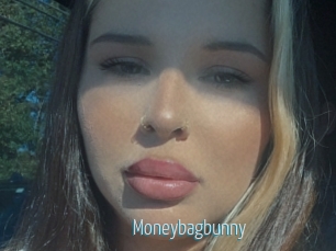 Moneybagbunny