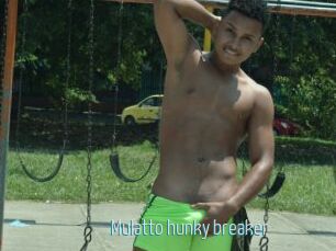 Mulatto_hunky_breaker