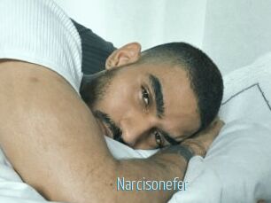 Narcisonefer