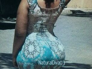 NaturalDiva03 Video Sexe