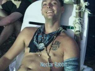 Nectar_Rabbit