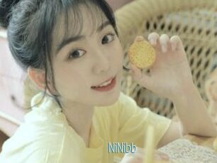NiNibb