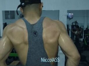NiiccolASS