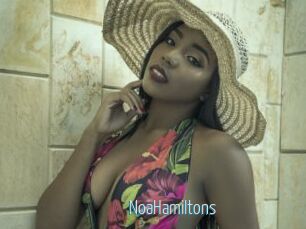NoaHamiltons