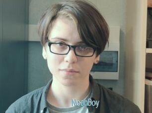 NoahBoy