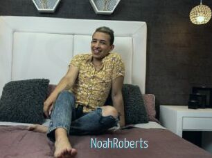 NoahRoberts