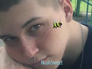 NoahSweet