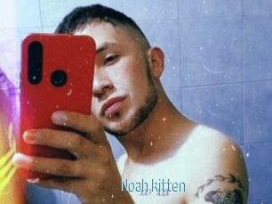 Noah_kitten
