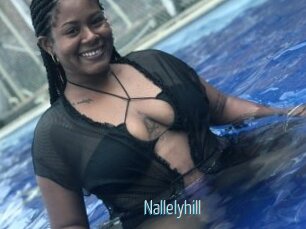 Nallelyhill