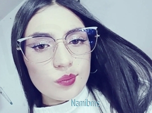 Namibms
