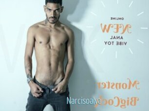 Narcisoalva