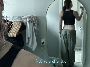 Native_trans_fox
